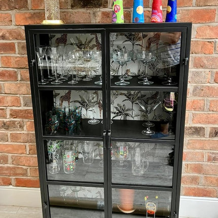 Black metal glazed industrial jungle display cabinet