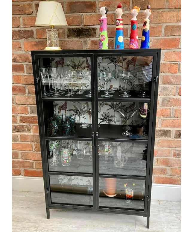 Black metal & glass industrial jungle display cabinet