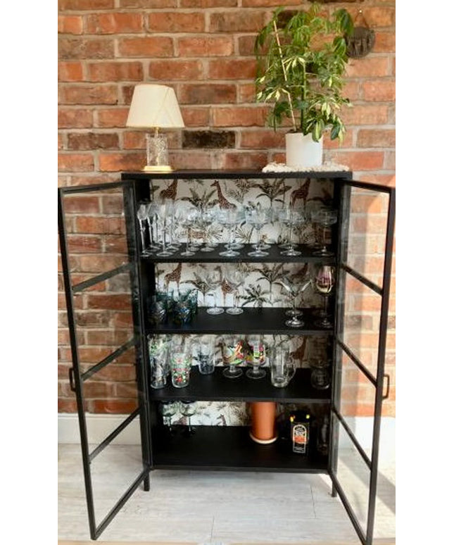 Black metal & glass industrial jungle display cabinet