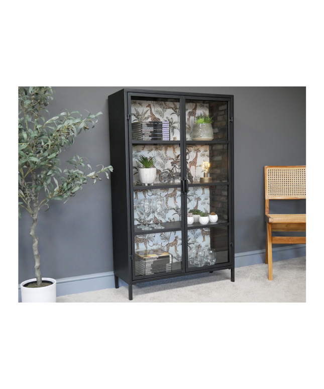 Glass fronted metal industrial display cabinet